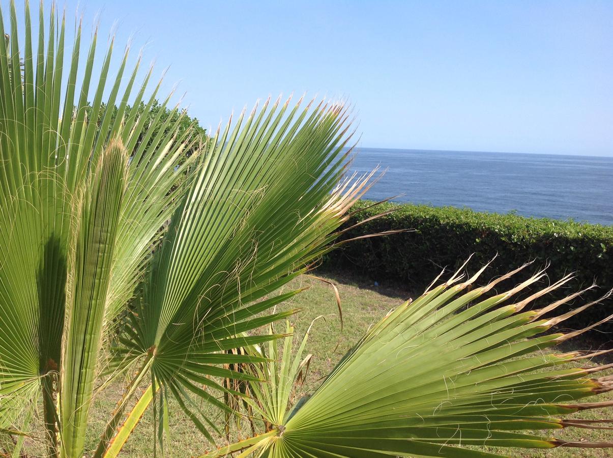 Wilderness Ocean Hotel Exterior photo